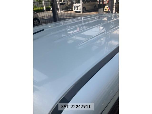 Suzuki LAPIN 2011-01 7214548-11