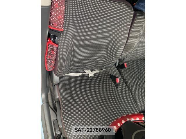 Suzuki LAPIN 2009-07 7325573-16
