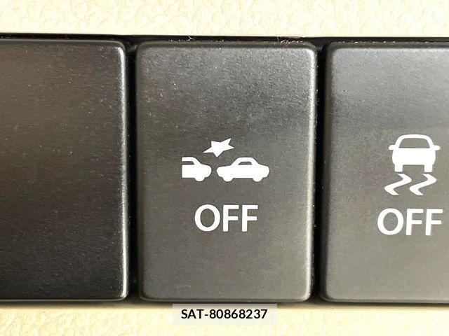 Suzuki LAPIN 2019-01 7391278-4