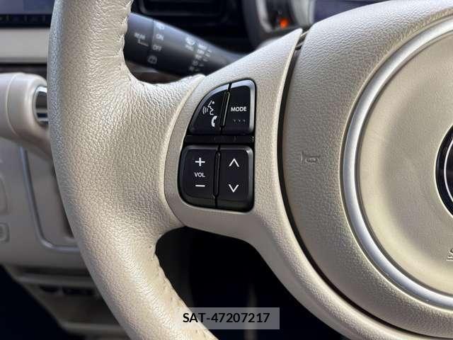 Suzuki LAPIN 2019-03 7391290-13