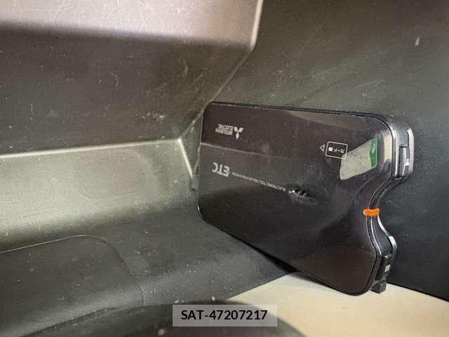 Suzuki LAPIN 2019-03 7391290-22