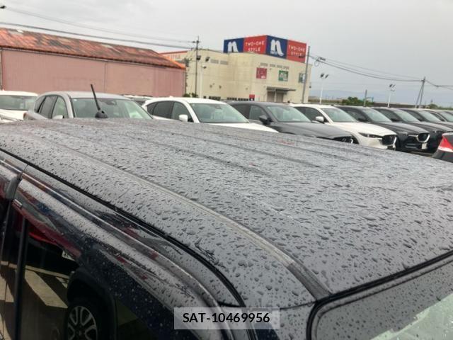 Suzuki LAPIN 2018-03 7452784-10