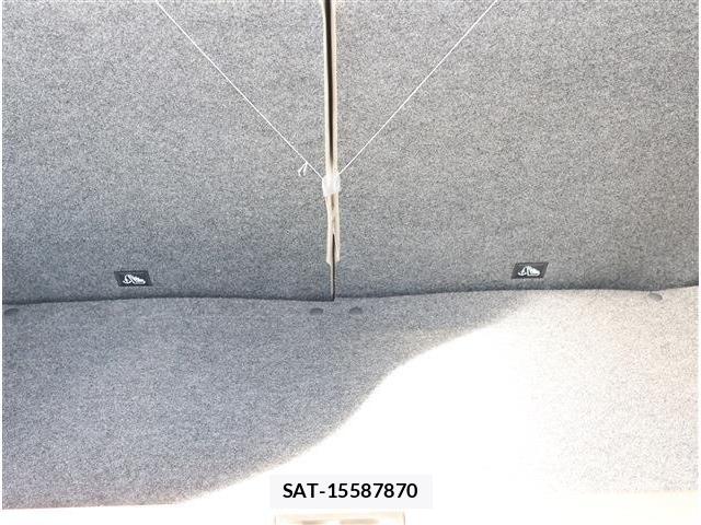 Suzuki LAPIN 2026-02 7452766-14