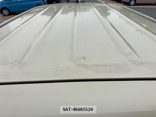 Suzuki LAPIN 2011-11 7499445-7