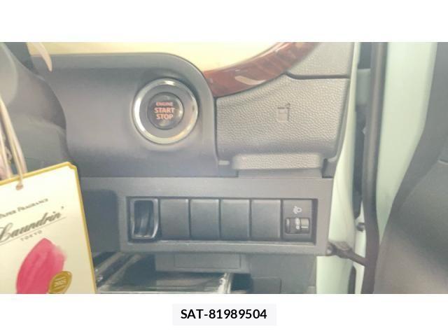 Suzuki LAPIN 2009-08 7499453-10