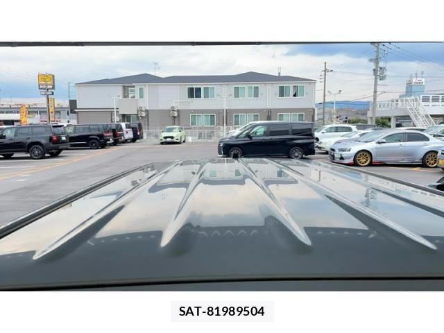 Suzuki LAPIN 2009-08 7499453-4