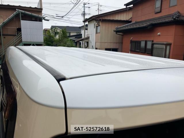 Suzuki LAPIN 2011-08 7614880-10