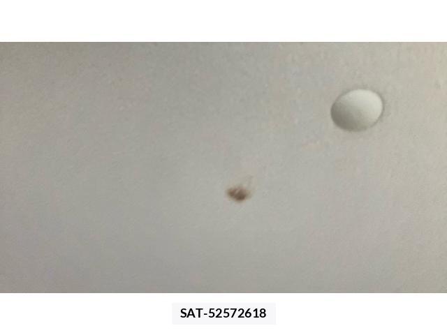 Suzuki LAPIN 2011-08 7614880-23