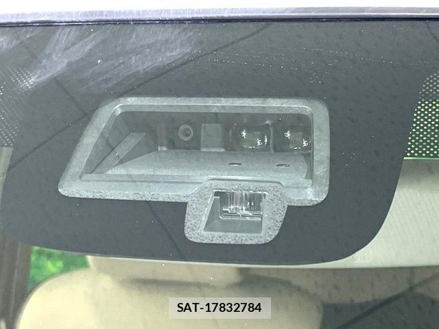 Suzuki LAPIN 2019-07 7614846-5