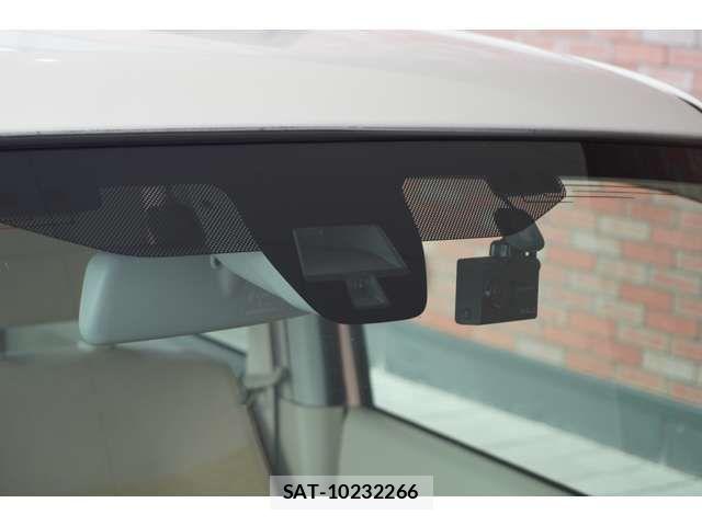 Suzuki LAPIN 2019-06 7614855-10