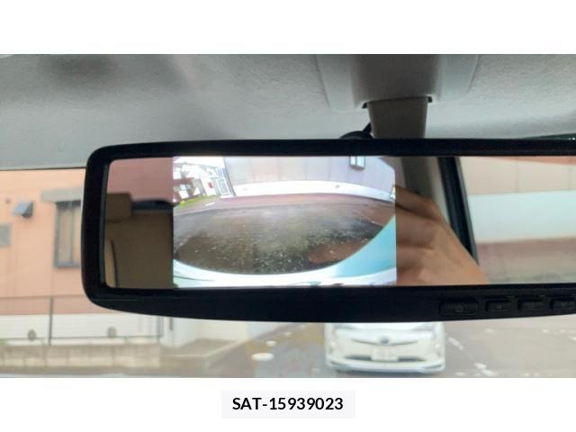 Suzuki LAPIN 2010-06 7782441-29
