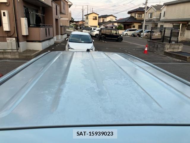 Suzuki LAPIN 2010-06 7782441-7