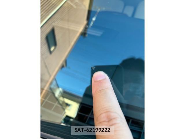 Suzuki LAPIN 2012-02 7875218-21