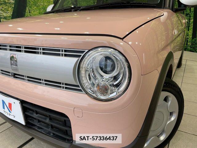 Suzuki LAPIN 2017-01 7960428-10