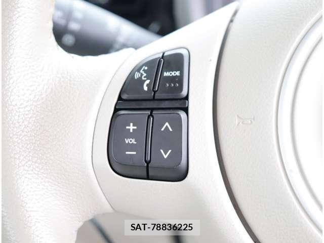 Suzuki LAPIN 2019-12 8097908-14