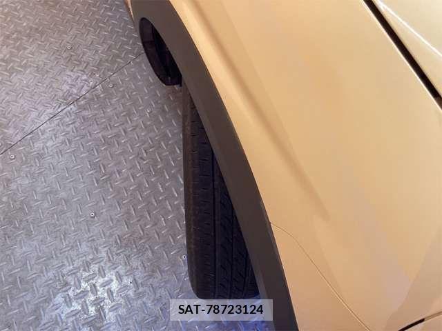 Suzuki LAPIN 2017-02 8364653-12
