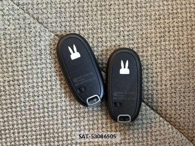 Suzuki LAPIN 2019-06 8364658-17