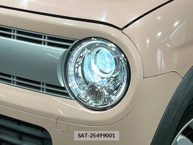 Suzuki LAPIN 2019-11 8779431-11