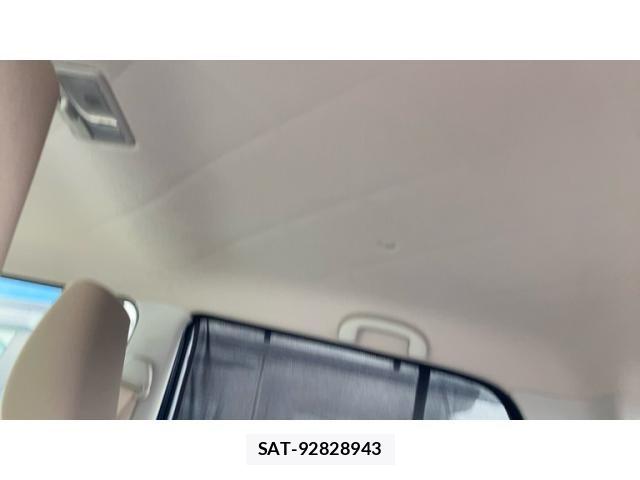 Suzuki LAPIN 2019-09 8883268-12