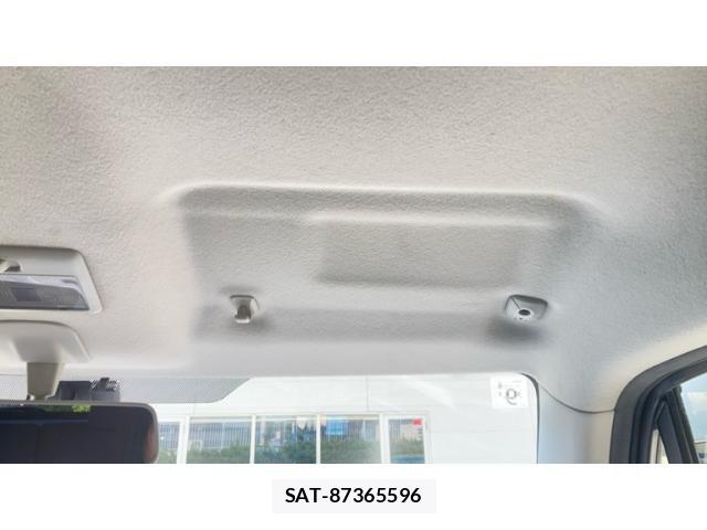 Suzuki LAPIN 2009-05 8883272-20