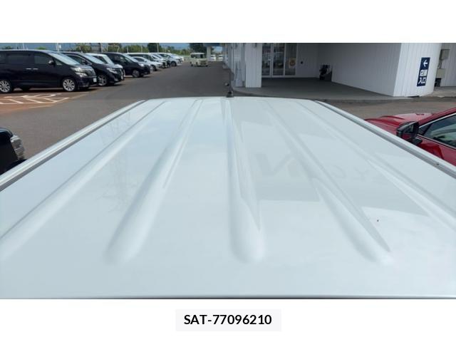 Suzuki LAPIN 2011-05 8625744-3