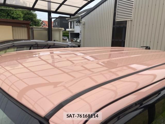 Suzuki LAPIN 2021-07 7452808-7