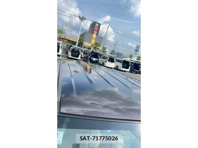 Suzuki LAPIN 2017-02 7875228-6
