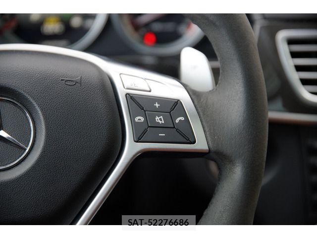 Amg E-CLASS 2014-04 3831558-13