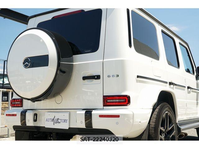 Amg G-CLASS 2020-11 7452816-8