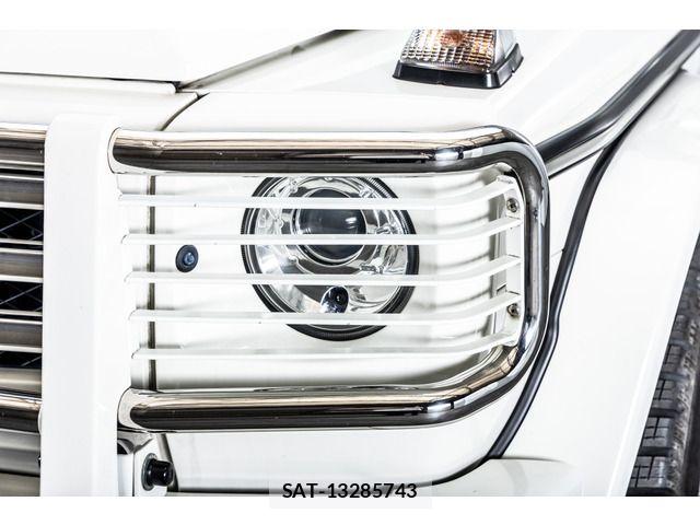 Amg G-CLASS 2009-03 7452817-11
