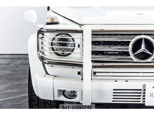 Amg G-CLASS 2009-03 7452817-12