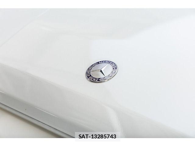 Amg G-CLASS 2009-03 7452817-18