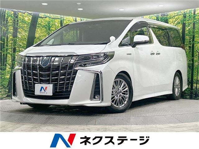Toyota ALPHARD HYBRID 2019 6279091-3