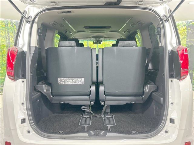 Toyota ALPHARD HYBRID 2019 6279091-8