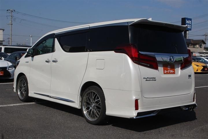 Toyota ALPHARD HYBRID 2019 6279187-10