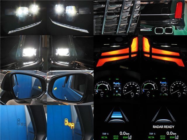Toyota ALPHARD HYBRID 2019 6279266-5