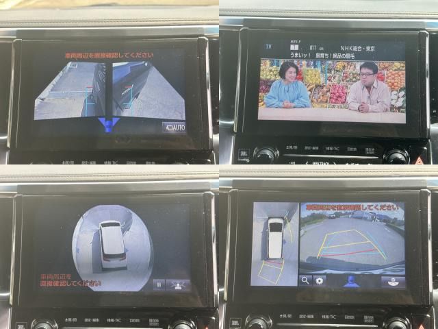 Toyota ALPHARD HYBRID 2018 6279465-10