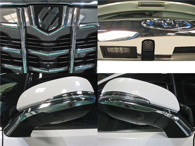 Toyota ALPHARD HYBRID 2017 6279567-4