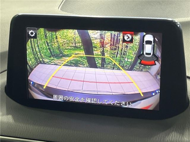 Mazda AXELA SPORT 2017 6298515-6