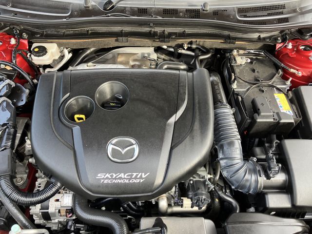 Mazda AXELA SPORT 2014 6317289-9