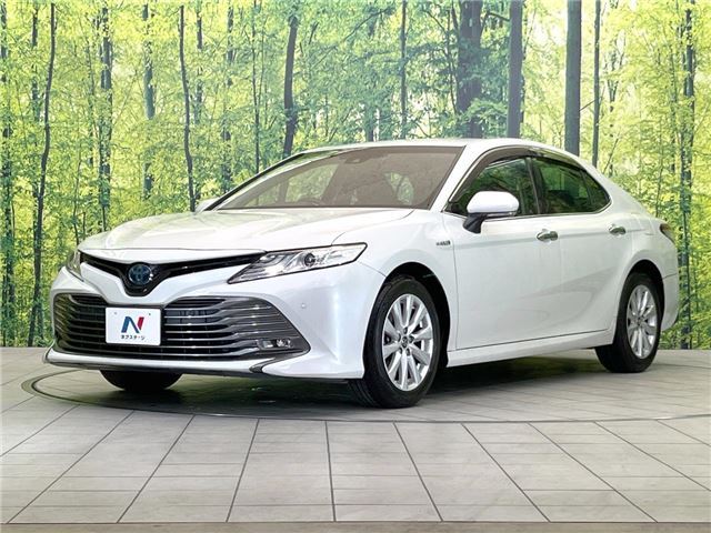 Toyota CAMRY 2018 6299420-4