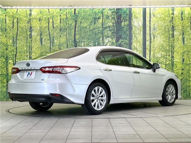 Toyota CAMRY 2018 6299420-8