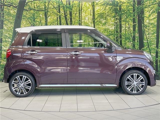 Daihatsu CAST 2021 6299774-9