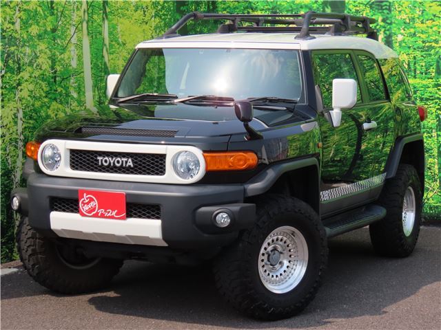 Toyota FJ CRUISER 2016 6313160-1