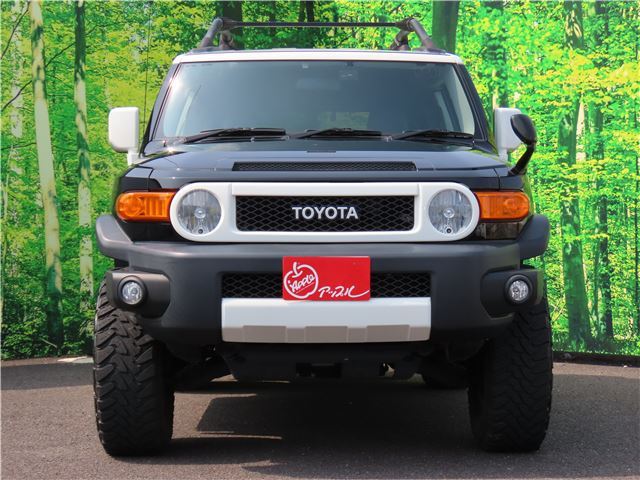 Toyota FJ CRUISER 2016 6313160-3