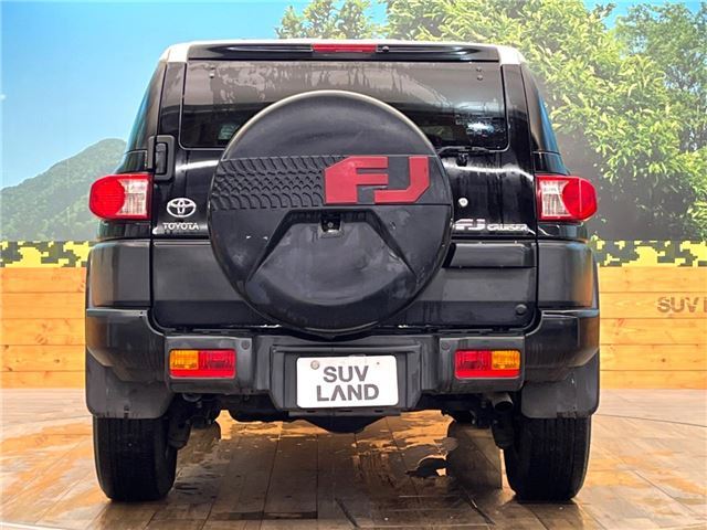 Toyota FJ CRUISER 2014 6313769-4