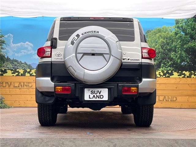 Toyota FJ CRUISER 2014 6313773-7