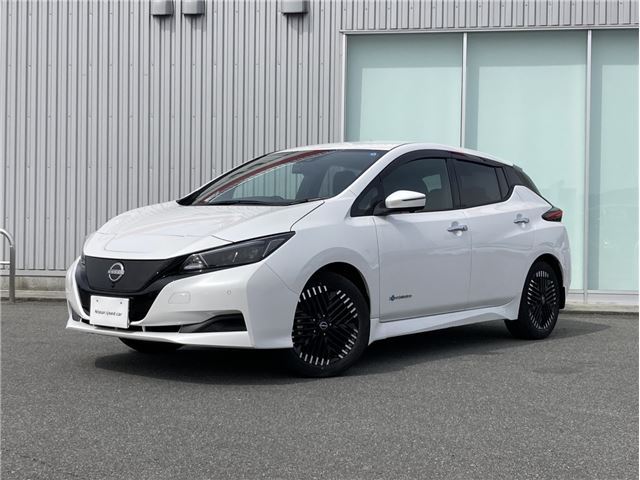 Nissan LEAF 2025 6316230-0