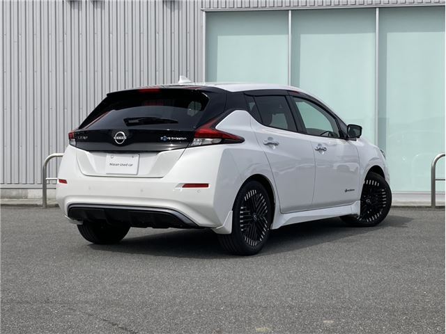 Nissan LEAF 2025 6316230-1