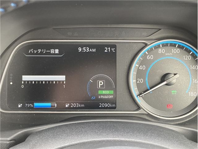 Nissan LEAF 2025 6316230-3